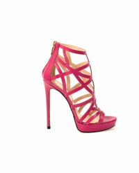 Sandalo lampone Icone