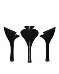 François Nero Vernice