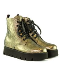 Anfibio oro consumato 181