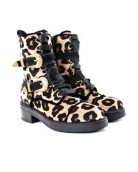 Anfibio maculato Jeannot