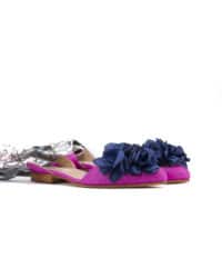 Pantofola fuxia con rose blu Pokemaoke